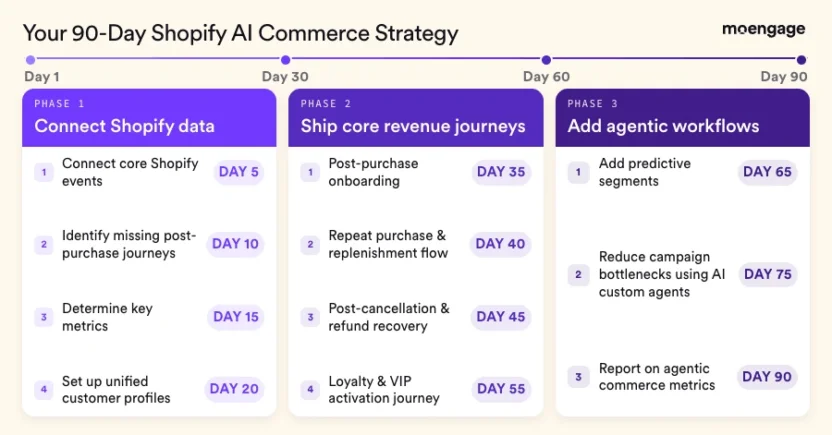 The agentic commerce strategy plan for enterprise Shopify brands.