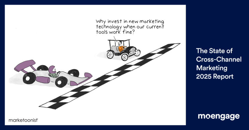 The State of Cross-Channel Marketing 2025 Report - Martech Investment cartoon