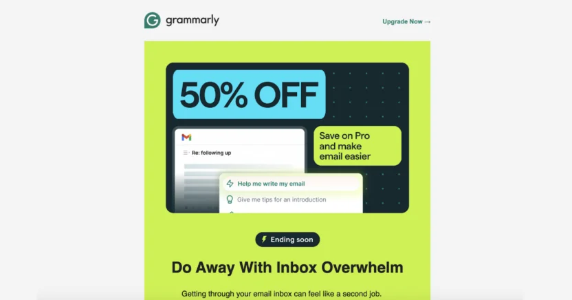 A flash sale email from Grammarly 