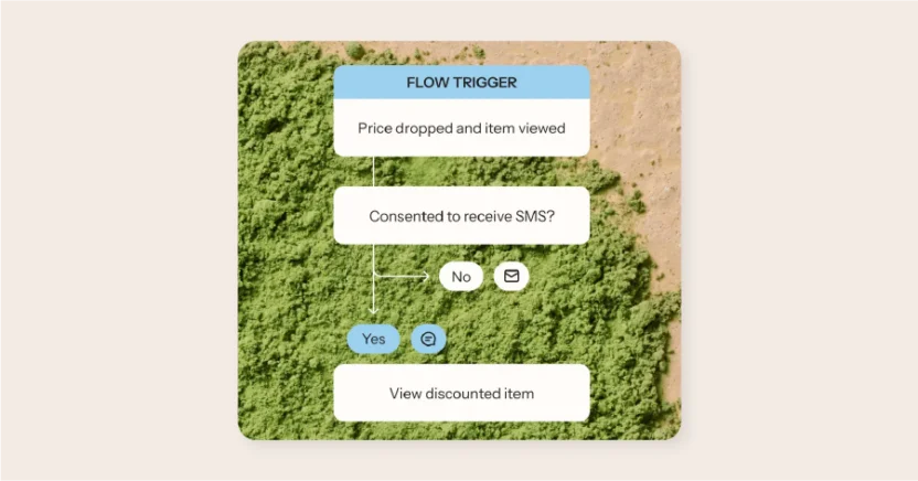 Klaviyo is one of the popular Shopify SMS apps.