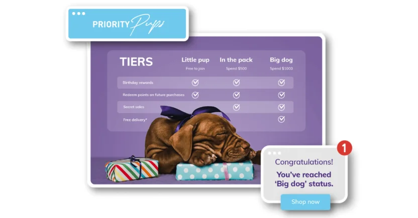 LoyaltyLion is an Ecommerce customer loyalty website