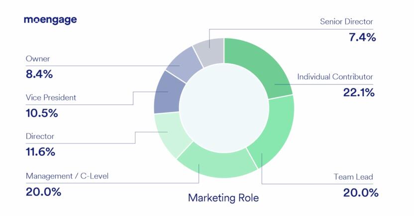 Media and Entertainment Marketing Roles