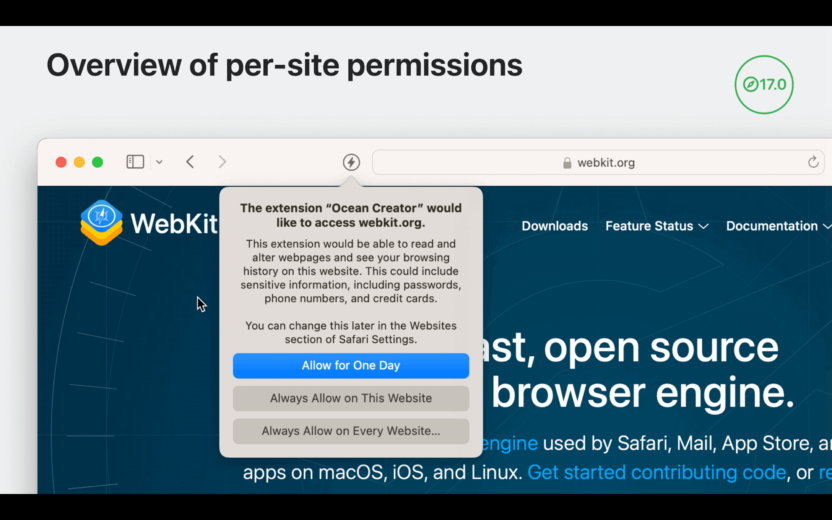 This is an image of permissions for Safari Extensions