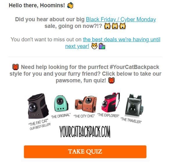 A sale email disguised as a fun quiz