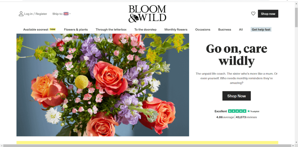 bloom-and-wild-customer-value-proposition