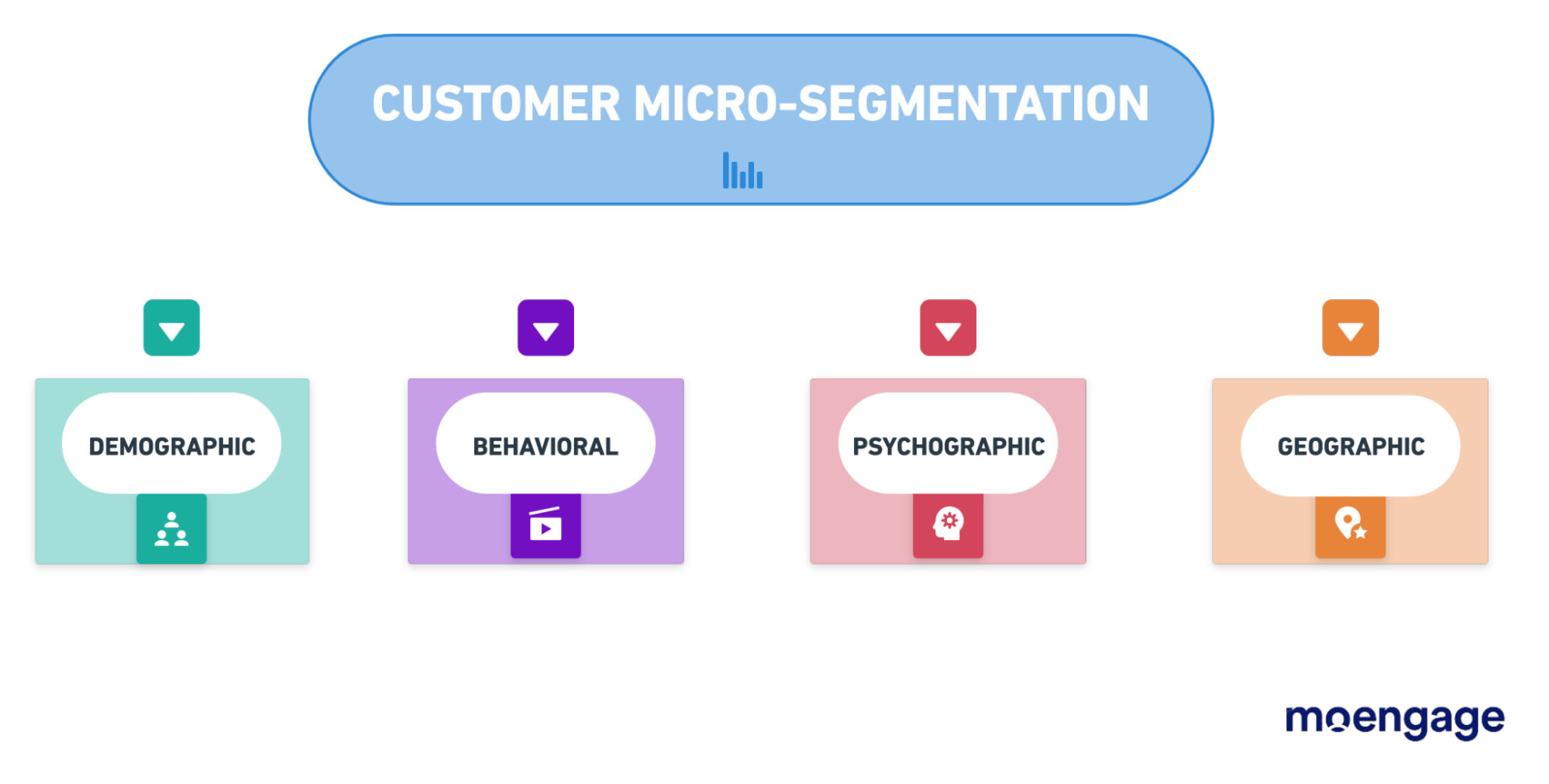 A infographic showing the different types of micro-segmentations