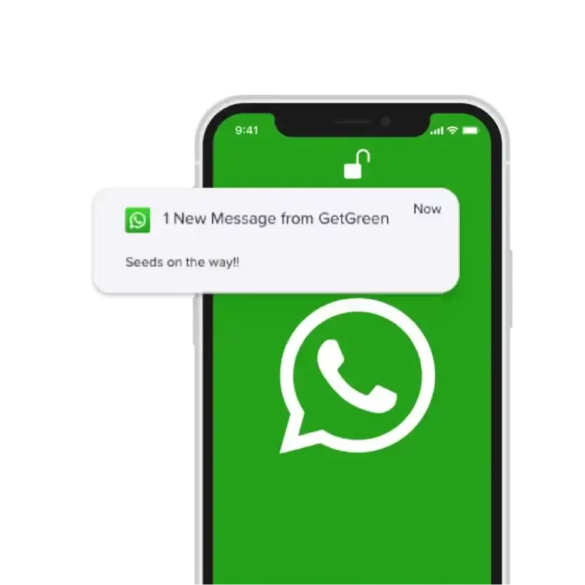 MoEngage WhatsApp Native